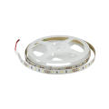 Tension constante SMD3528 LED bande lumineuse